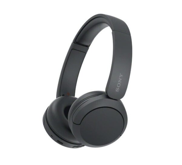 BOSE Earphones